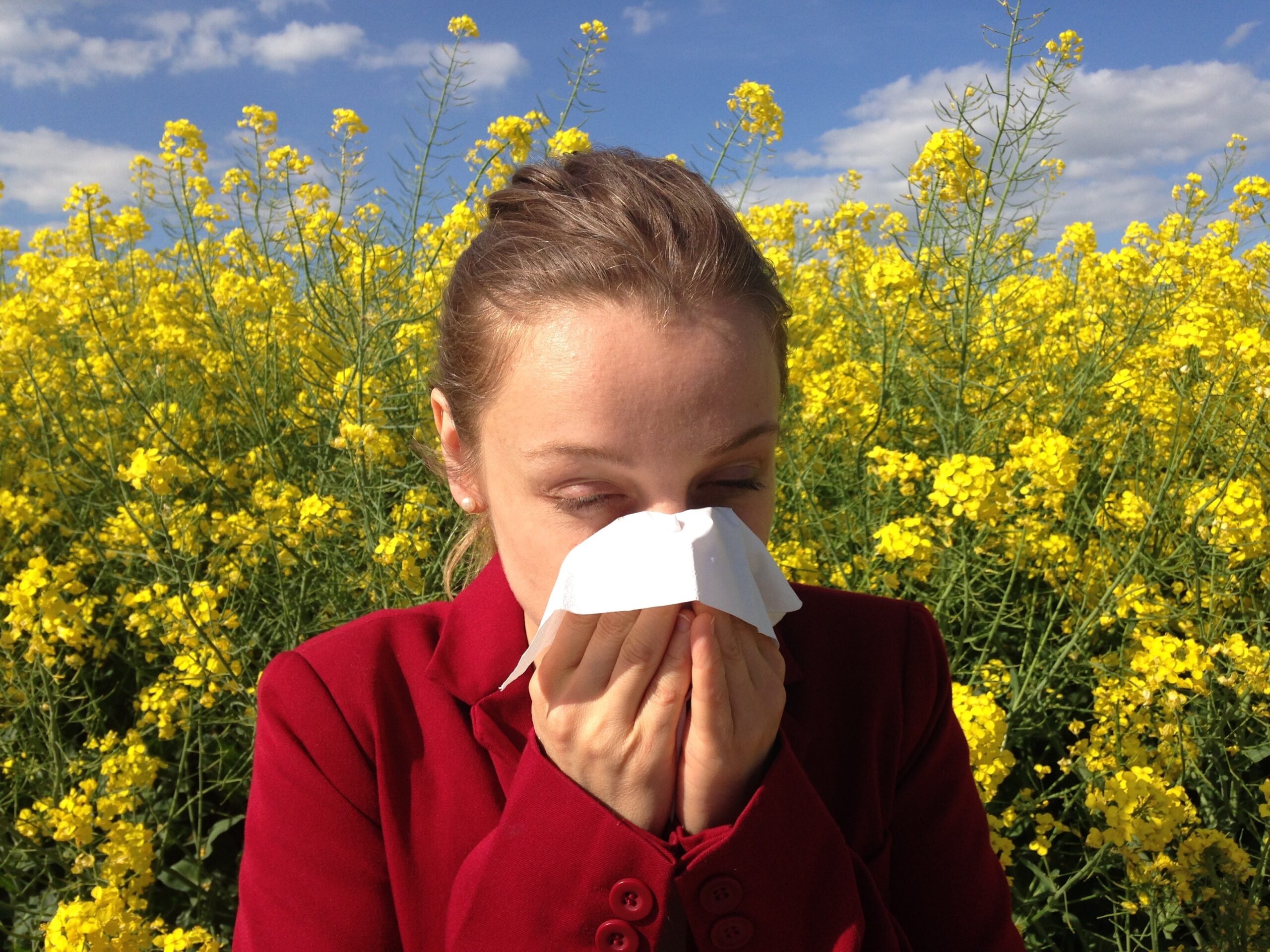 Indoor air quality issues include seasonal allergies. Girl sneezing in a field of flowers.